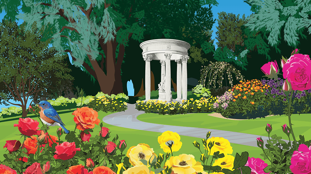 A colorful drawing of a rose garden in bloom with a cement path leading to a rotunda.