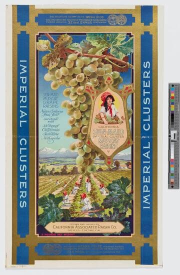 California Sun-Maid imperial cluster muscat raisins