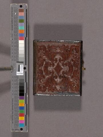 Unidentified woman [Rix or Hamlin family?]