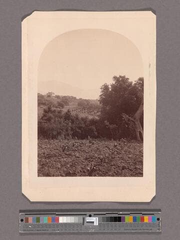 Residence of J. De Barth Shorb, Esq. San Gabriel