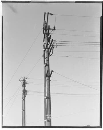 Distribution Lines - Pole Top showing potheads and circuits