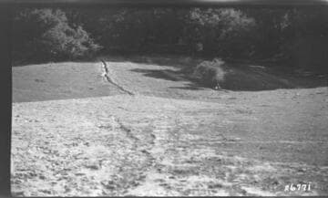 Boulder-Chino Transmission Line (3rd)