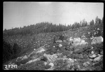 Big Creek, Fish Valley