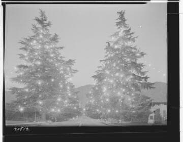 L1.1 - Lighting, misc. - Deodar Lane