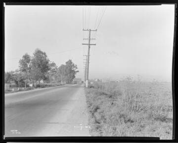 A1.2 - Accidents - Roy Johnson, fatal Accident