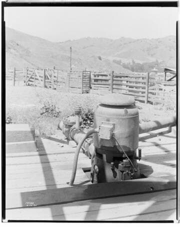 D1 - Dairy - Billywick Dairy