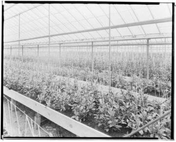 N1 - Nurseries & Soil Heating