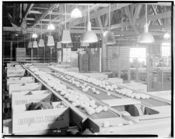 L1.8 - Lighting, Packing Plants