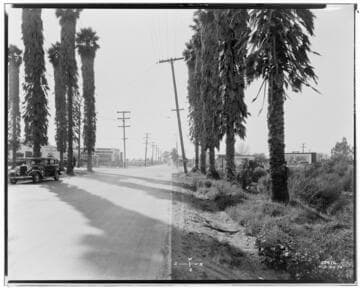 A1.2 - Accidents - Maruto & Fernandez Accident