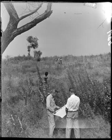 Surveyors working in a transmission line corridor