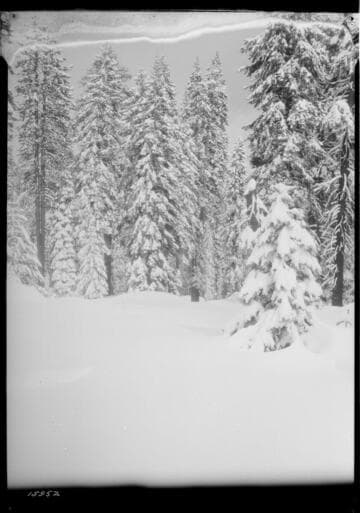 Big Creek after snow storm