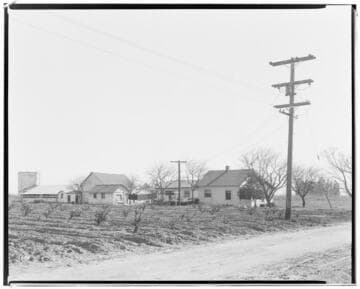 Miscellaneous Transmission - 11 kVA lines and services