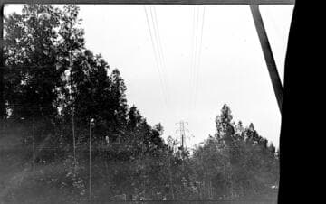 Miscellaneous Transmission