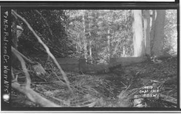 Big Creek, Miscellaneous - Sohier's investigation of future developments of Big Creek Project