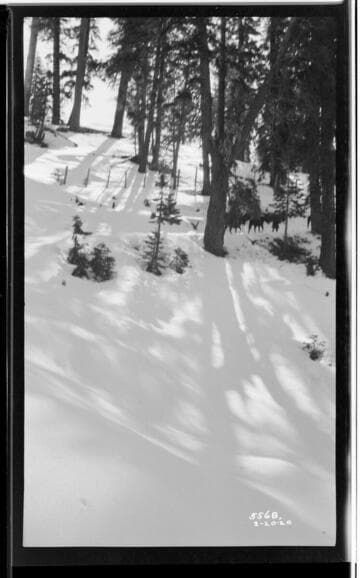 Big Creek Scenery - Big Creek