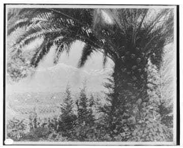 Redlands from Smiley Heights (copy)