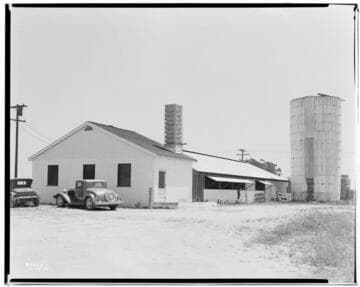 D1 - Dairy - Fred Day Dairy