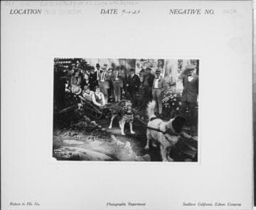 P1.1 - Group Portraits