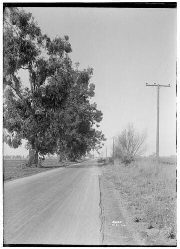 A1.2 - Accidents - Scene of Stockton Fatal Accident