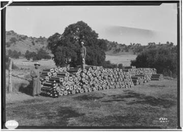 Distribution Lines - Tower Construction