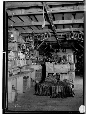 Big Creek, Miscellaneous