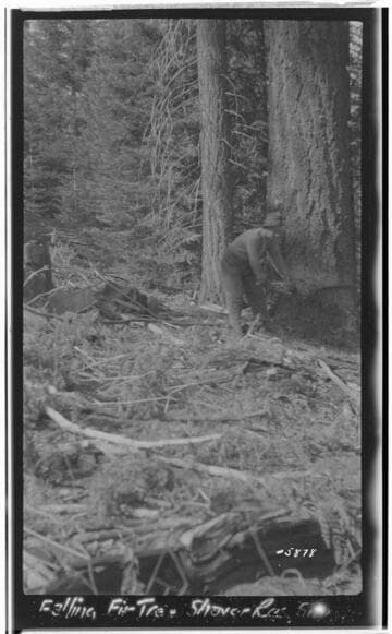Big Creek, Shaver Lake Dam