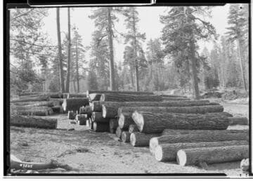 Big Creek, Florence Lake Dam