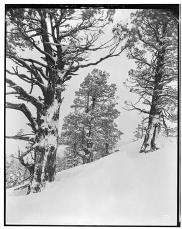 Big Creek Scenery - Snow pictures