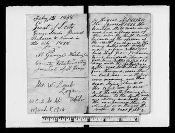 Diary of George Laub [microform]: 1874-1877