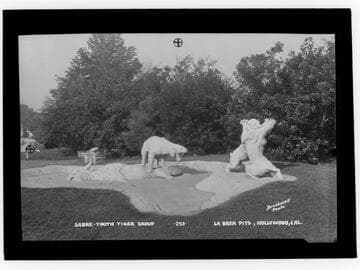 Sabre-tooth tiger group. La Brea Pits, Hollywood, Cal. [i.e. Los Angeles]