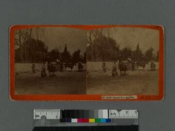 Haas' ranch, Los Angeles