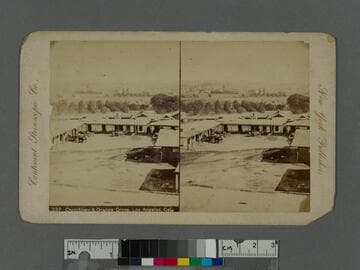 Chinatown & Orange Grove, Los Angeles, Cal