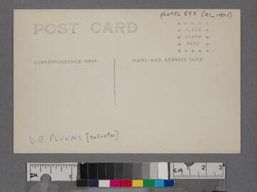 Bird's-eye view of Santa Monica beach, coast road and pier