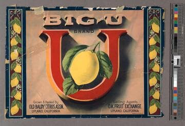 Big-U brand