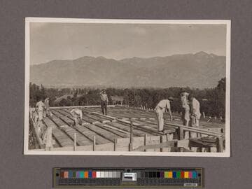 Huntington Library Construction: view showing pans and steel for the roof of the East Wing, looking north