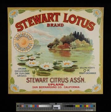 Stewart Lotus Brand