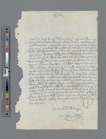 Diego Aleman letter to Pedro Guillén