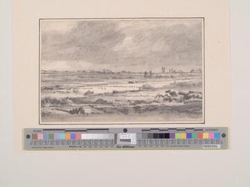 Marshland