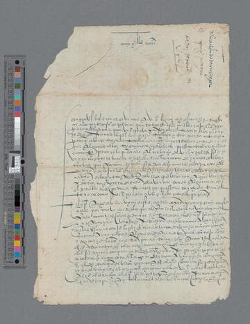 Cabildo Arequipa letter to Gonzalo Pizarro