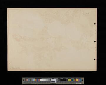 Stock label: lemons on branch with vignette of orchards and coastline