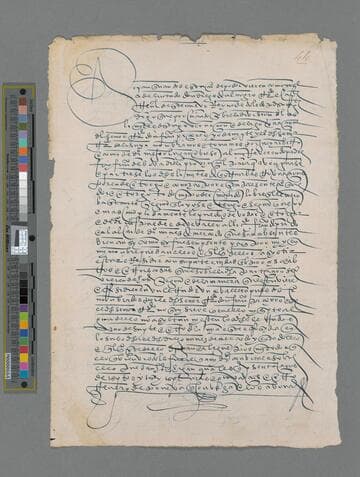 Diego de Almagro to Francisco de Bobadilla: Power of Attorney