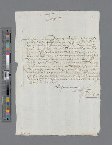 Gonzalo Pizarro letter to Cabildo de la Zarza