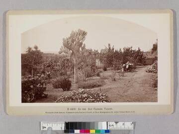 In the San Gabriel Valley