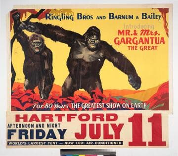 Ringling Bros and Barnum & Bailey introducing Mr. & Mrs. Gargantua the great : for 80 years the greatest show on Earth