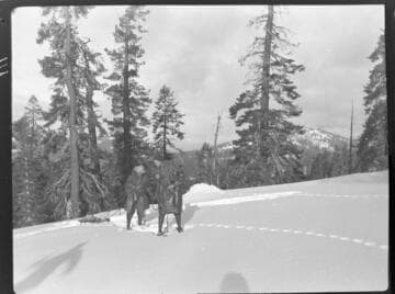 Snow survey team on snowshoes carrying gear and pulling sled with equipment acros field of snow