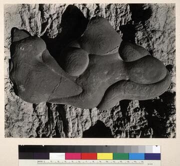 Sandstone Concretion, Salton Sea