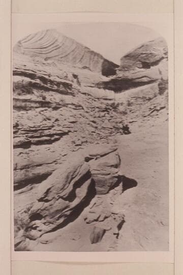 [print from half a stereo] "Views on the Colorado River," Glen Canon Series.  No. 145:  Oozing Spring in the Wall
