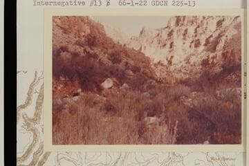 Spring Canyon above upper spring