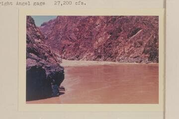 Head of Sockdologer Rapid