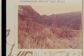 Canyon past upper spring; Diamond Creek